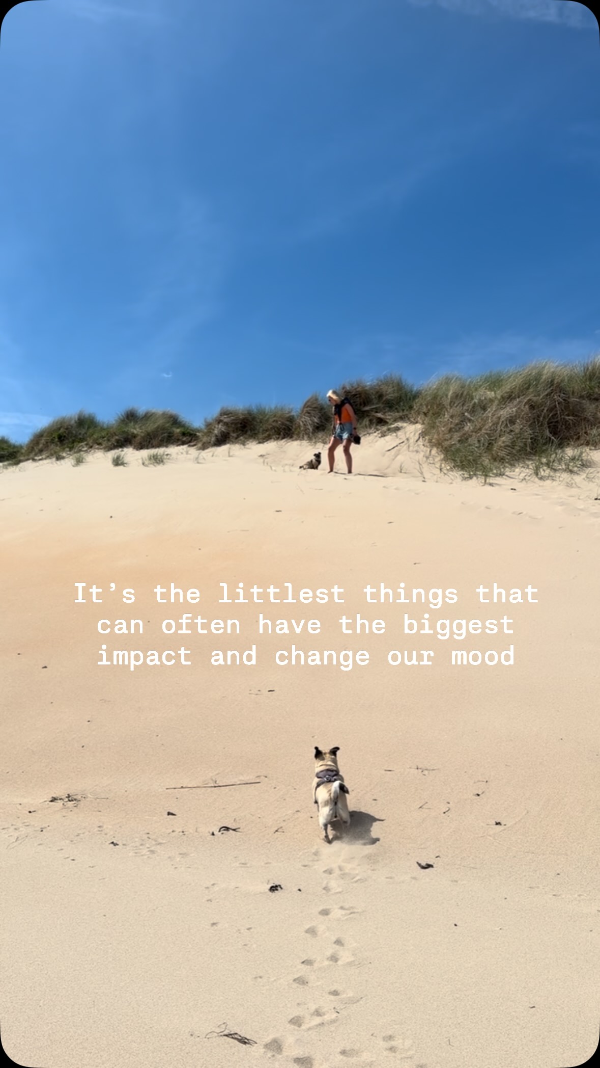 Sometimes, it really is the littlest things.
We can get so caught up in thinking that something big needs to change for us to feel better, when actually it can be the smallest moments that shift our mood.
For me, it’s being at the beach, sand between my toes and Nala having the zoomies 🐾
What’s your little thing that can instantly lift your mood?
#moodbooster #getoutdoors #vitaminsea #vlmtherapy
