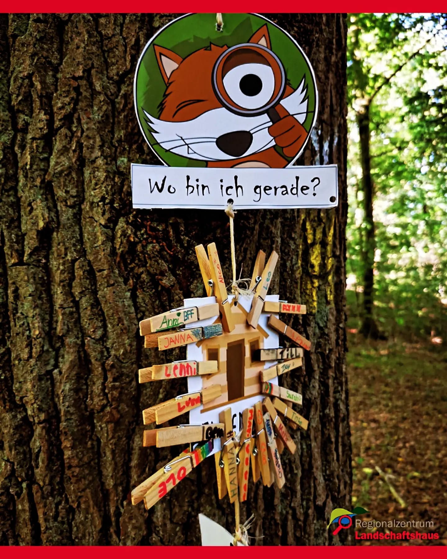Gemeinsam Natur erleben – Vier Tage voller Abenteuer, Kreativität und Gemeinschaft
Vom 11. bis 14. August fand unsere inklusive Ferienfreizeit statt. Insgesamt 16 Mädchen und Jungen, im Alter von 7 bis 12 Jahren, nahmen an den abwechslungsreichen Ferientagen teil und erlebten gemeinsam spannende Abenteuer in der Natur. ??
Die kleinen Naturforschenden waren die letzten Tage kreativ und haben draußen kleine Buden gebaut und gestaltet. Sie lernten unter anderem, wie man mit Feuersteinen ein Feuer entfacht, erhielten eine Einführung in die Knotenkunde und konnten sich beim Schnitzen ausprobieren. Neben einer Schnitzeljagd gab es jeden Tag zahlreiche Teamspiele, die den Spaß am gemeinsamen Schaffen brachten und den Hunger auf ein selbst zubereitetes Mittagessen weckten.
Auch die Natur selbst wurde zum großen Erlebnisraum. Entdeckt wurden unter anderem Grasfrösche, Baumpilze, Käfer und Wanzen und vieles mehr. So wurde ganz nebenbei die Neugier auf die heimische Natur geweckt und die Kinder konnten ihre Umgebung mit neuen Augen entdecken. ???
Die Ferienfreizeit hat gezeigt, wie viel Freude gemeinsames Erleben, gegenseitige Unterstützung und das Entdecken der Natur bereiten können.
Wir freuen uns, dass das jährlich angebotene Programm auf so viel Interesse und Begeisterung trifft. So wachsen hier vielleicht auch die ein oder anderen Naturforscherinnen und -forscher von morgen heran.
#naturerlebnis #naturforscher#schlaufuchs #bne #gemeinschaft