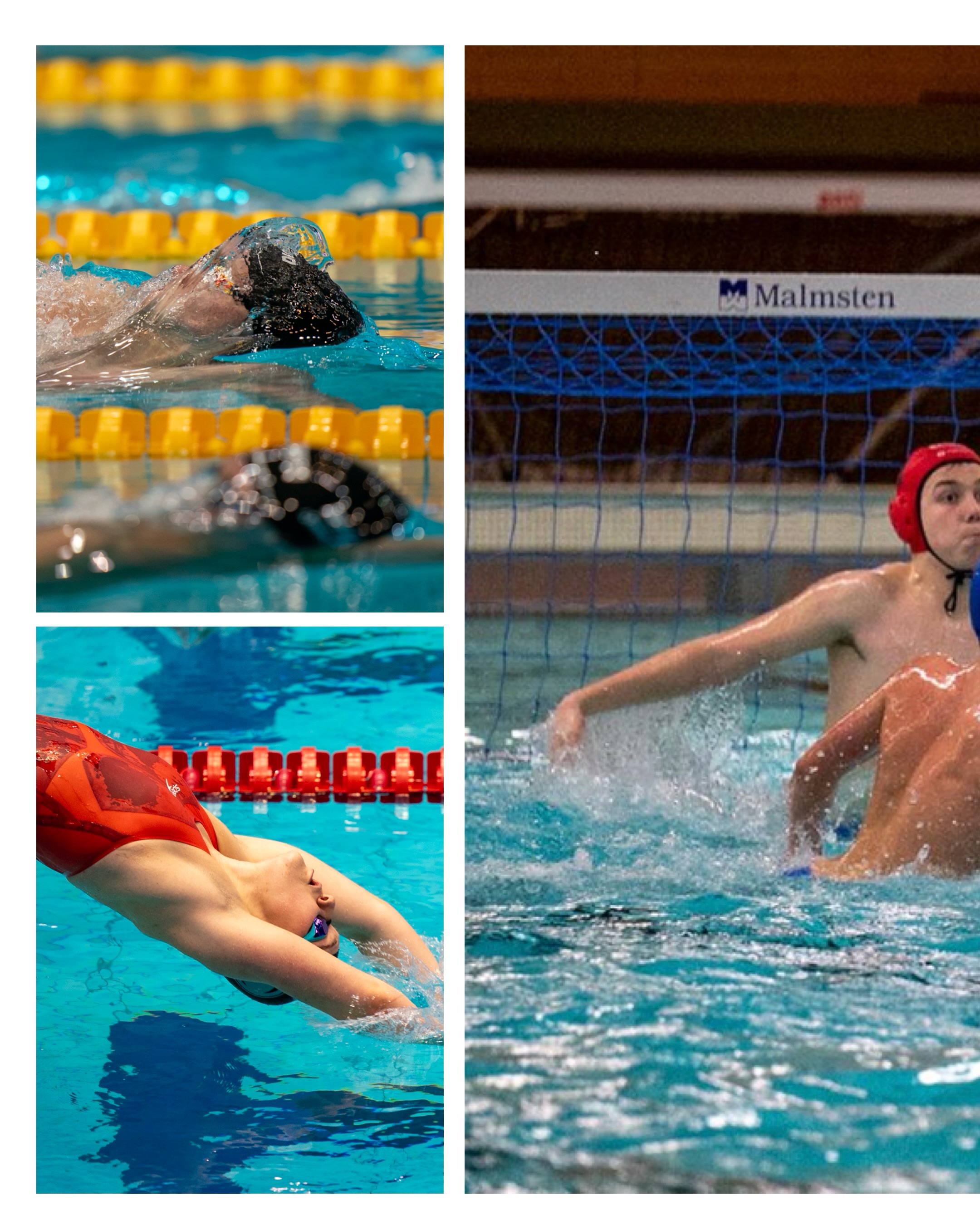 Auf in die neue Saison! 💦
Die Sommerpause ist vorbei, die Trainingsbäder füllen sich wieder und auch das Training läuft wieder an.
Wir wünschen allen Sportler:innen, Trainer:innen und LSN-Vereinen einen erfolgreichen Start ins neue Schuljahr und in die neue Saison!
Wir freuen uns auf viele spannende Wettkämpfe, neue Bestzeiten und eine tolle gemeinsame Saison! 🔥
📸 @patrickwallbaum_fotografie | @hannover.synchro | LSN
#lsn #landesschwimmverbandniedersachsen #niedersachen #saisonstart