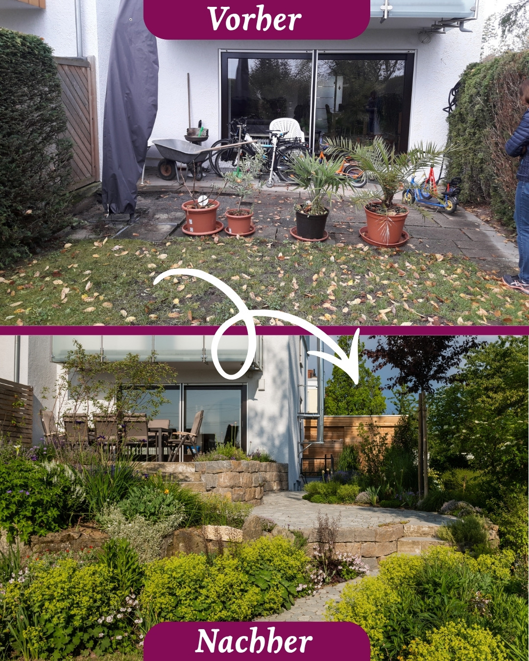 Wie wird der Garten zum Lieblingsplatz? ☕🌿
Hier im Garten war zwar schon alles da, um draußen zu sitzen. Aber so richtig gemütlich sieht es nicht aus.
Mit den verschiedenen Höhen, viel Grün und den Natursteinen hat der Bereich heute eine ganz andere Wirkung. Man sitzt geschützter, schaut direkt ins Grüne und die Terrasse gehört viel mehr zum Garten als vorher.
Jetzt ist es ein Platz an dem man seinen morgendlichen Kaffee richtig genießen kann. Was sagt ihr zum Vorher-Nachher?
#gaertnervoneden #vorhernachher #terrasse #lieblingsplatz #gartenverwandlung